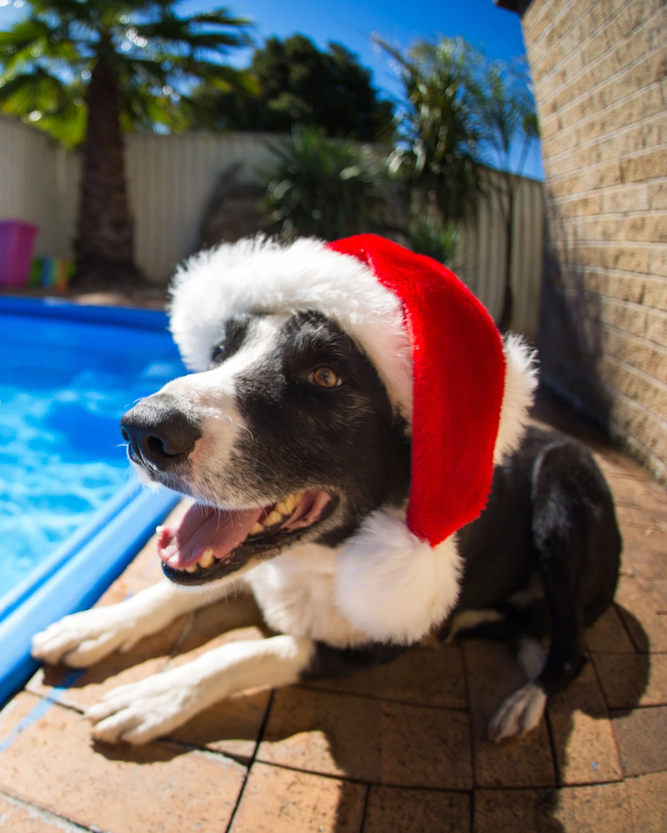 590dc7_a8a4ea6b7c4943bda611e5274551c1ab~mv2