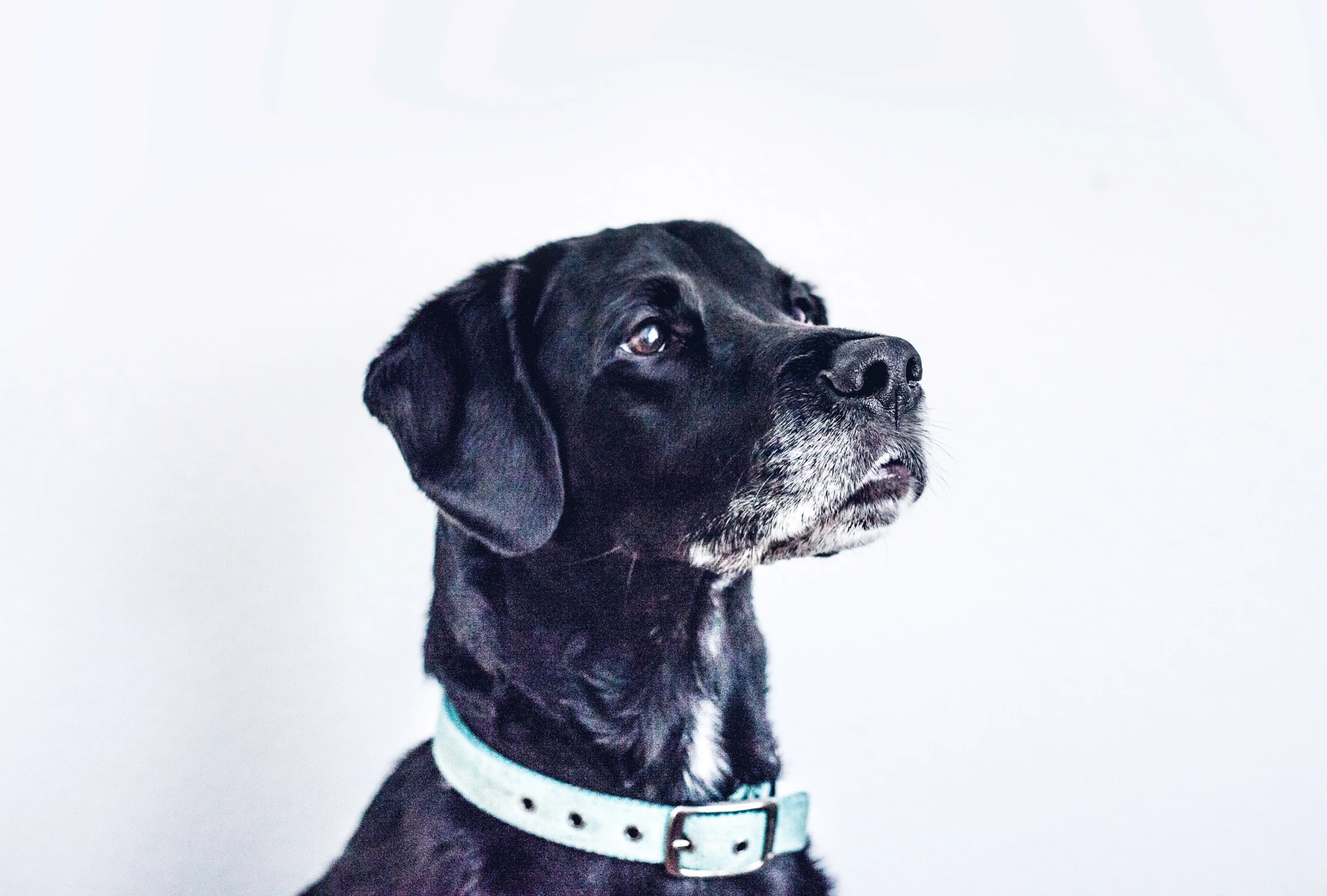 64dc2226ab9c4e4bbeb1e13472b5f96d