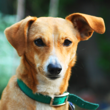 feb6f36ac702ed57786cf20403470c28