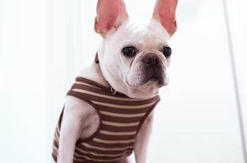 37957c884a834f87a33937fa552b1f79