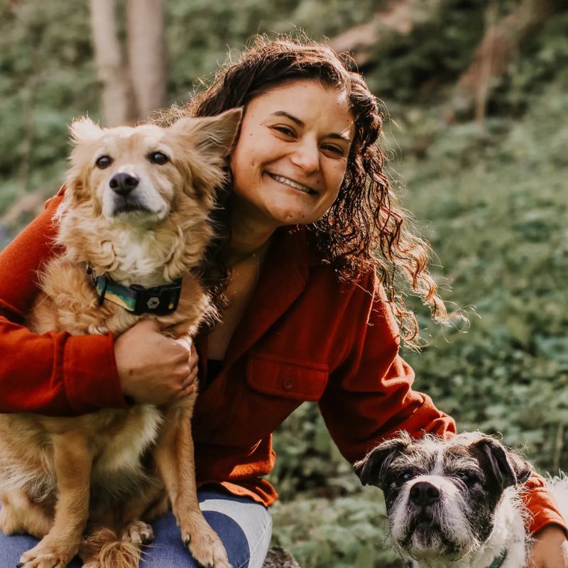 Meet Kristen_ Owner of Perked Ears Dog Training Indianapolis