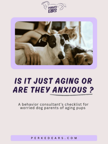 Is it just aging or are they anxious