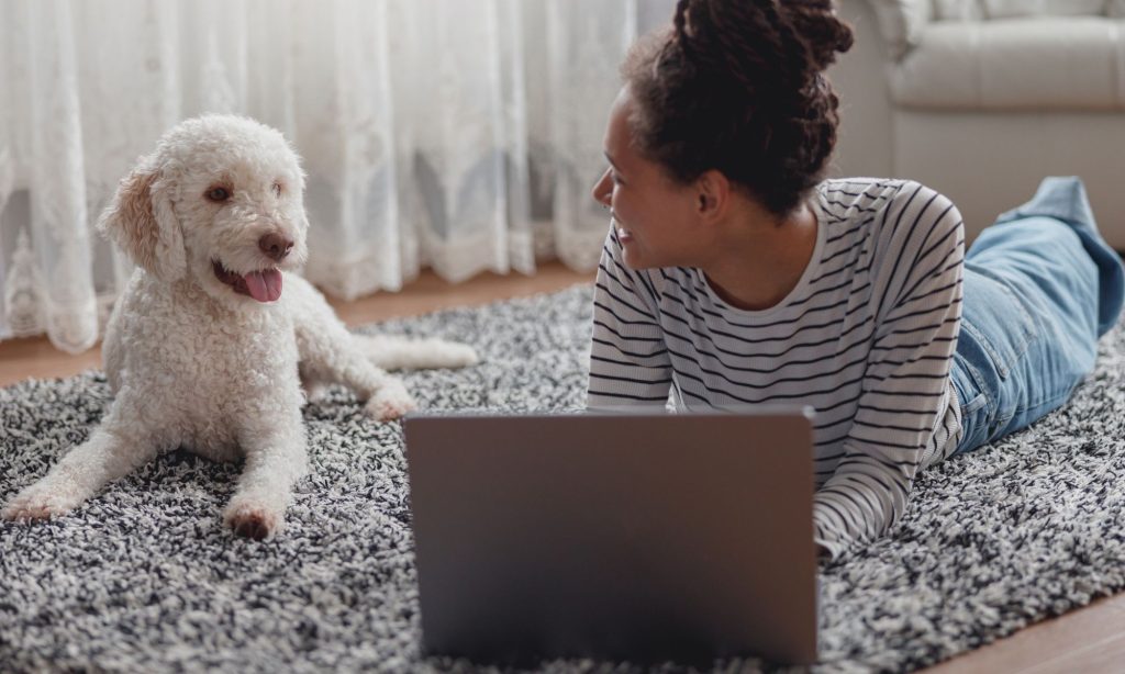 Perked Ears online courses